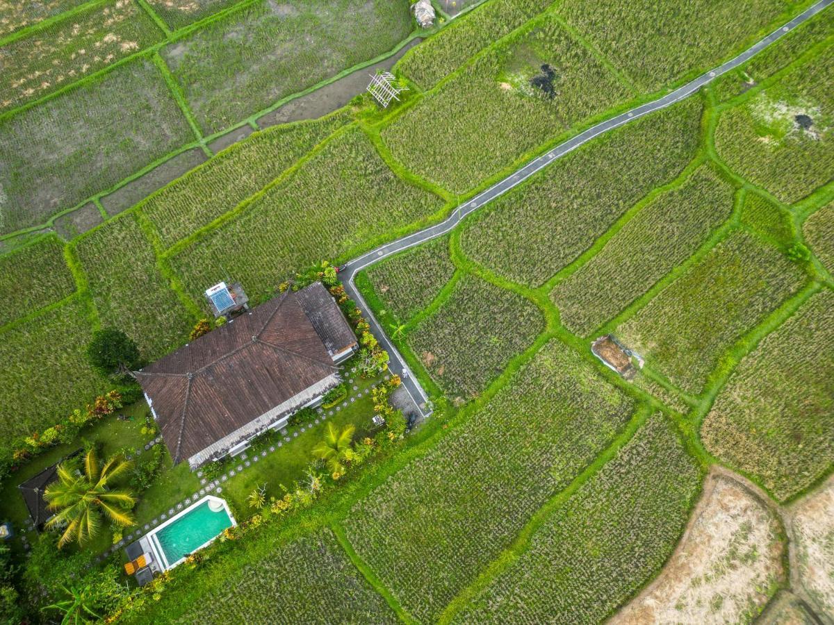 Buddha Homestay Ubud Extérieur photo